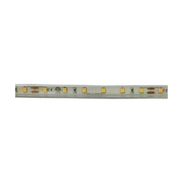 TIRA LED 4,8W IP67 24V FRA 580lm SMD2835 60 LED/M (5m)