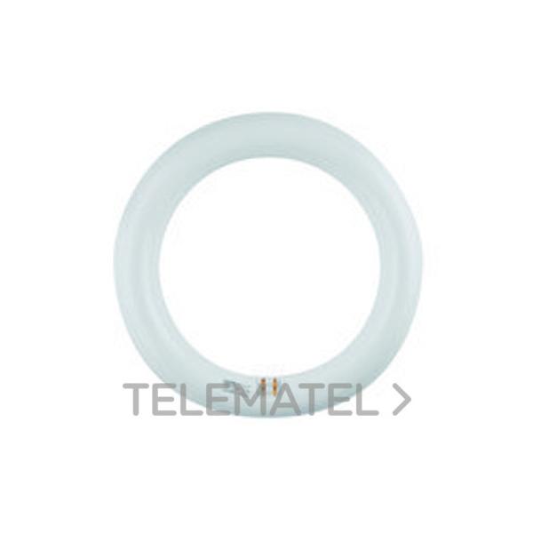 TUBO CIRCULAR LED 15W-22W 4000ºK G10q DIRECTO 220V