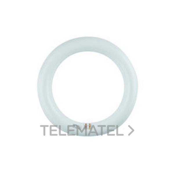 TUBO CIRCULAR LED 32W-40W 4000ºK G10q DIRECTO 220V