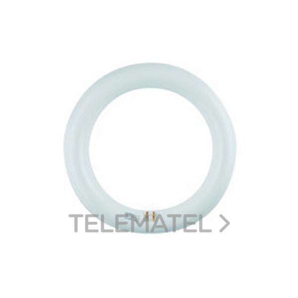 TUBO CIRCULAR LED 15W-22W 6500ºK G10q DIRECTO 220V