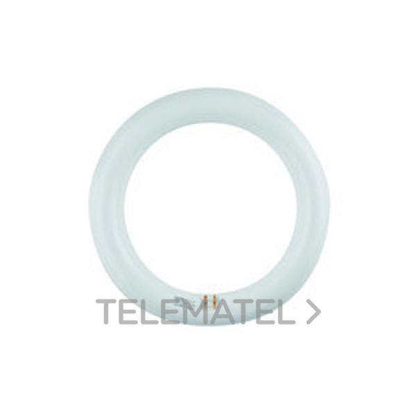 TUBO CIRCULAR LED 20W-32W 4000ºK G10q DIRECTO 220V