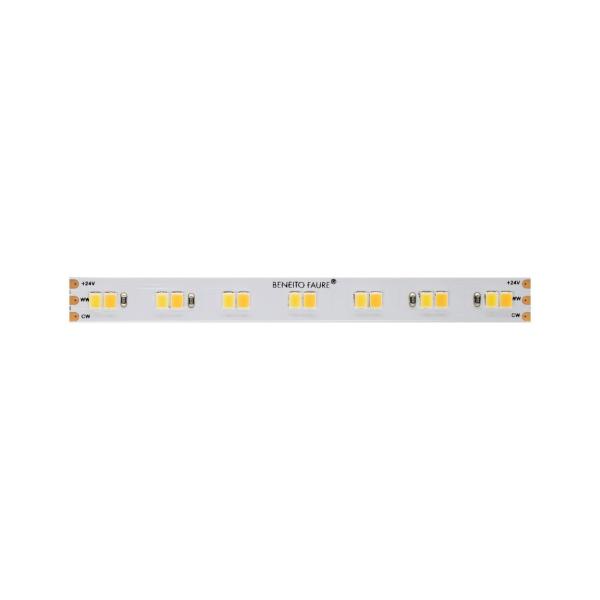 ROLLO TIRA LED 5m FINE 36 24 VDC 12W/m CCT IP20